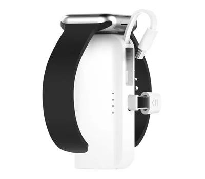 플레오맥스 20W 3in1 일체형 보조배터리